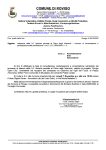 thumbnail of comune di Rovigo