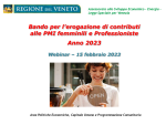 thumbnail of Slide riassuntive del bando