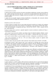 thumbnail of 11375_F_All_2bis_camini_e_campionamento_.pdf_Marcato